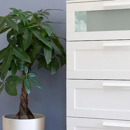 Glunien - Apartment *